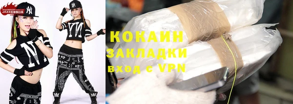 индика Осинники
