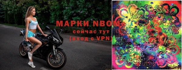 индика Осинники