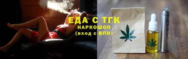 индика Осинники