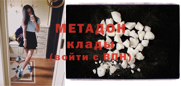 индика Осинники