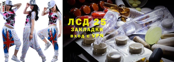 ПСИЛОЦИБИНОВЫЕ ГРИБЫ Осташков