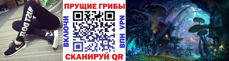 купить наркотики цена  shop состав  Псилоцибиновые грибы ЛСД  Сосновка 